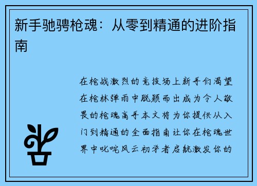 新手驰骋枪魂：从零到精通的进阶指南