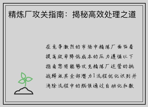 精炼厂攻关指南：揭秘高效处理之道